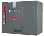 INVERSYS 55 PLUS